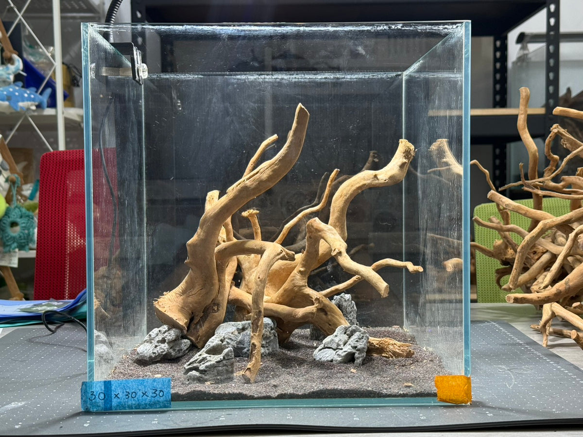 30立方缸(30*30*30) 沉木造景