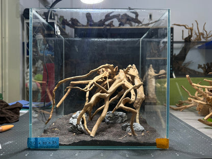 30立方缸(30*30*30) 沉木造景