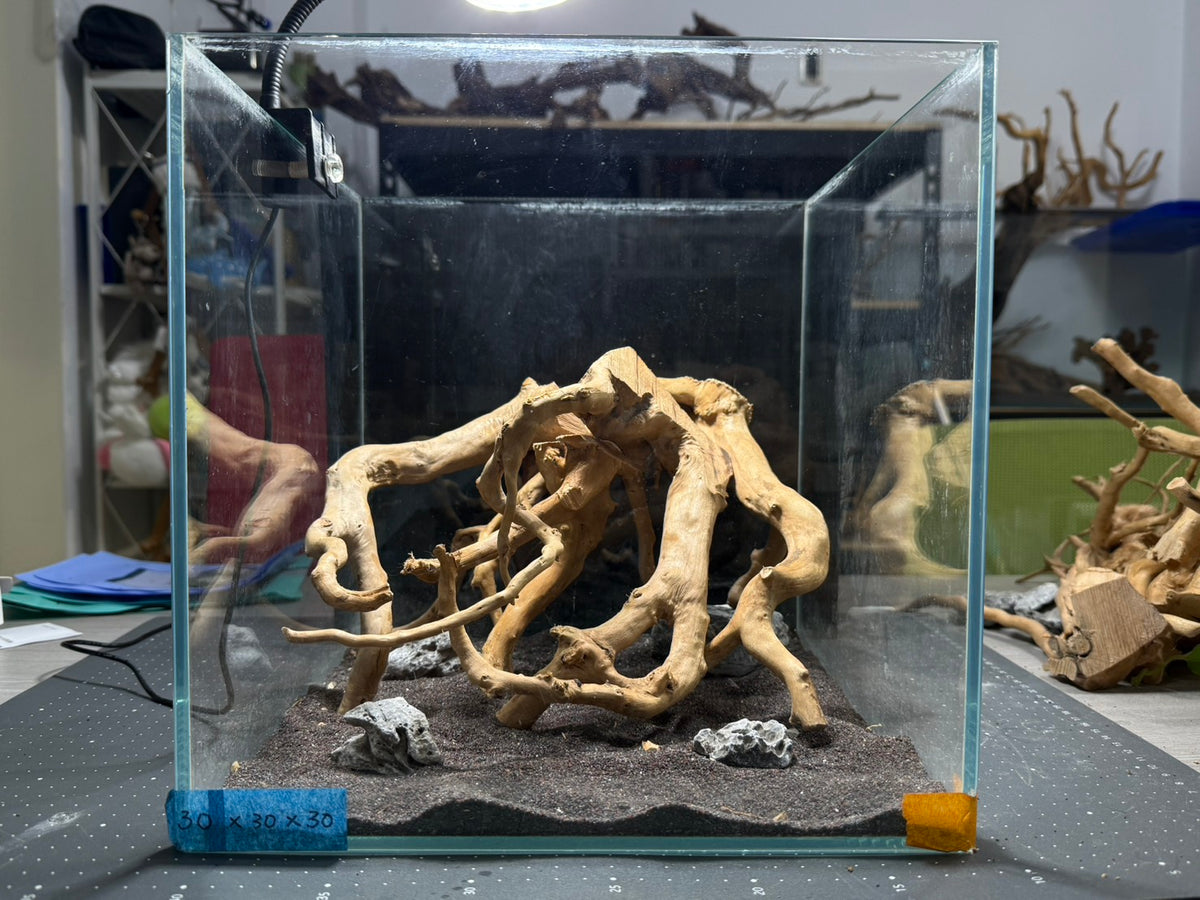 30立方缸(30*30*30) 沉木造景
