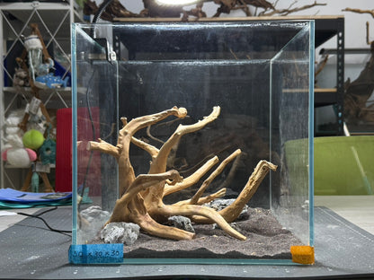 30立方缸(30*30*30) 沉木造景
