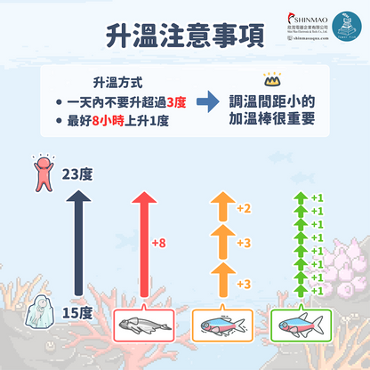 欣茂 STEII 鈦合金加溫棒 800W（600–950L）