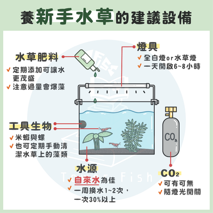2尺高缸假水草黏貼服務