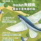 塔魚普通答‧刊 2025年4月刊(電子版)