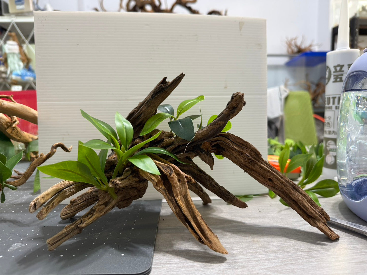 1尺假水草黏貼服務
