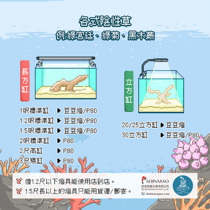 P80定時調光植物燈