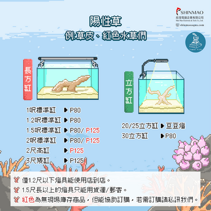 P125高功率定時調光水草燈