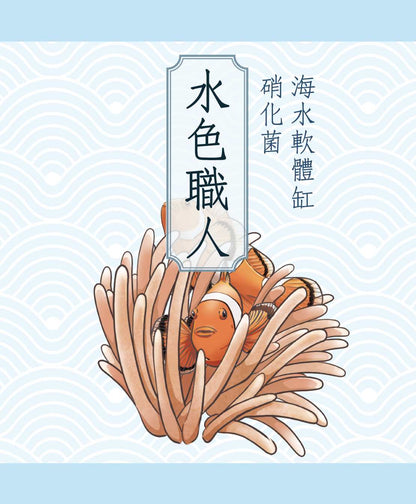 a close up of a picture of a zebra 